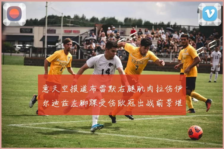 意天空报道布雷默右腿肌肉拉伤伊尔迪兹左脚踝受伤欧冠出战前景堪忧