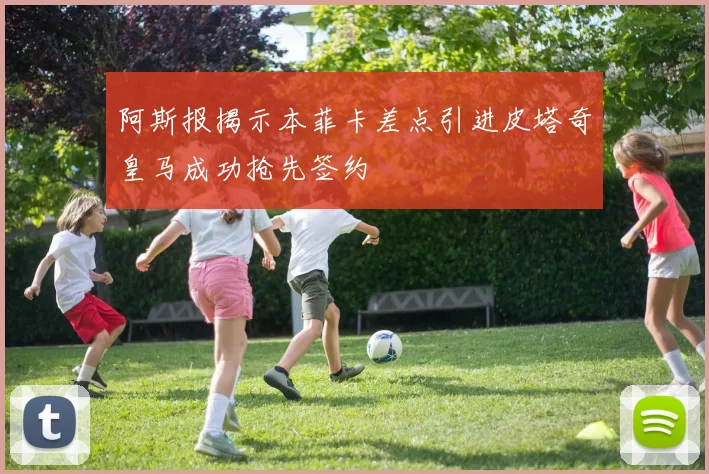 阿斯报揭示本菲卡差点引进皮塔奇皇马成功抢先签约